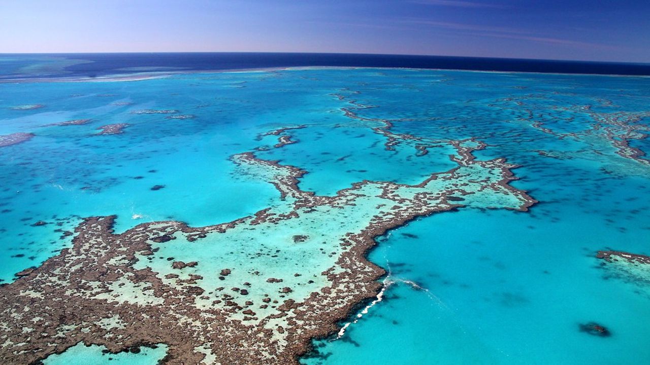 La barrière de corail, au large de l'Australie, fait partie de cette multitude d'écosystèmes qui sont menacés de disparition à cause du réchauffement climatique et de la surexploitation des ressources qu'ils recèlent.