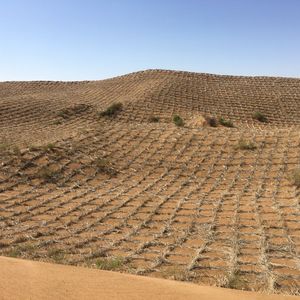 Le long de la grande route qui s'enfonce dans le désert de Tengger, les dunes sont revêtues de carreaux de pailles pour empêcher que le sable ne décolle au moindre coup de vent