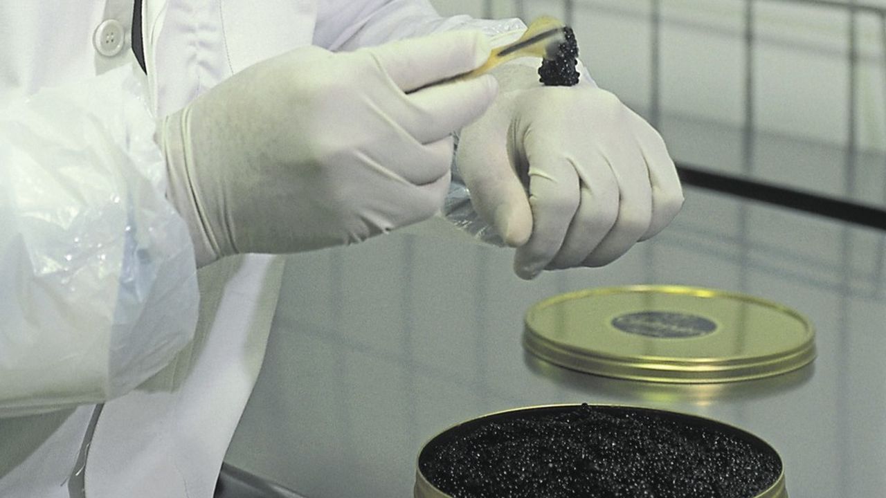 Le caviar naît des eaux de l'aciérie
