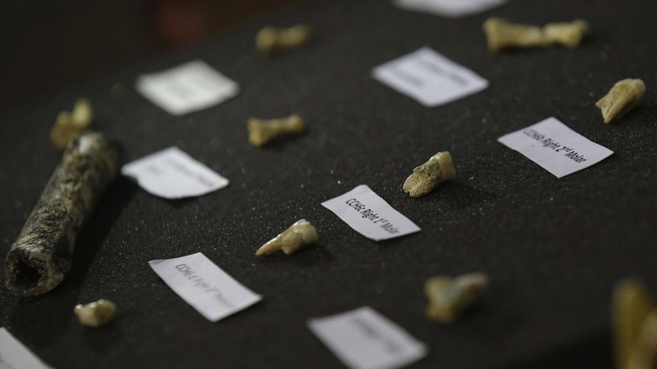 Une combinaison d'éléments modernes et archaïques fait des restes trouvés sur une île des Philippines les vestiges d'une nouvelle espèce: Homo luzonensis.