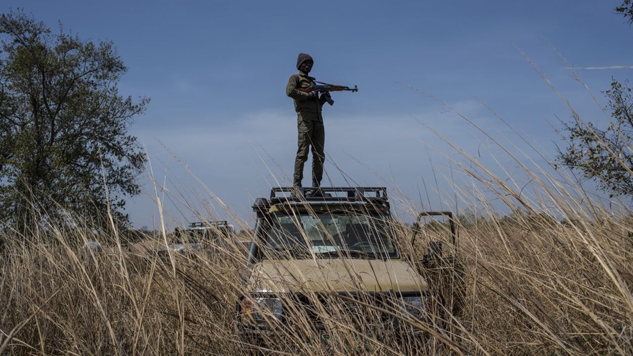 Les deux otages français libérés par les forces spéciales au Burkina Faso, dans une opération qui a coûté la vie à deux militaires, effectuaient un safari au Bénin avant de se faire enlever.