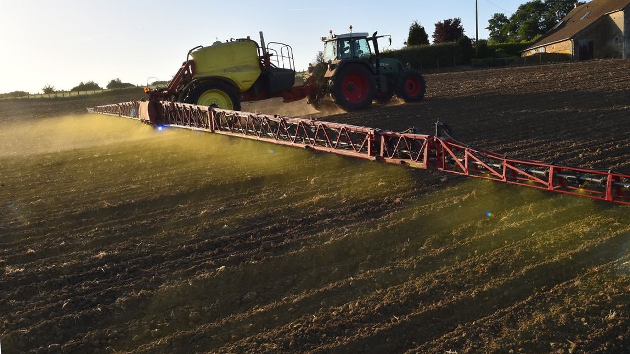 Au grand dam des agriculteurs, la France a promis de se passer du glyphosate dans trois ans, soit deux ans avant la fin de la période de renouvellement de l'autorisation donnée fin 2017 par Bruxelles.