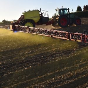 Au grand dam des agriculteurs, la France a promis de se passer du glyphosate dans trois ans, soit deux ans avant la fin de la période de renouvellement de l'autorisation donnée fin 2017 par Bruxelles.