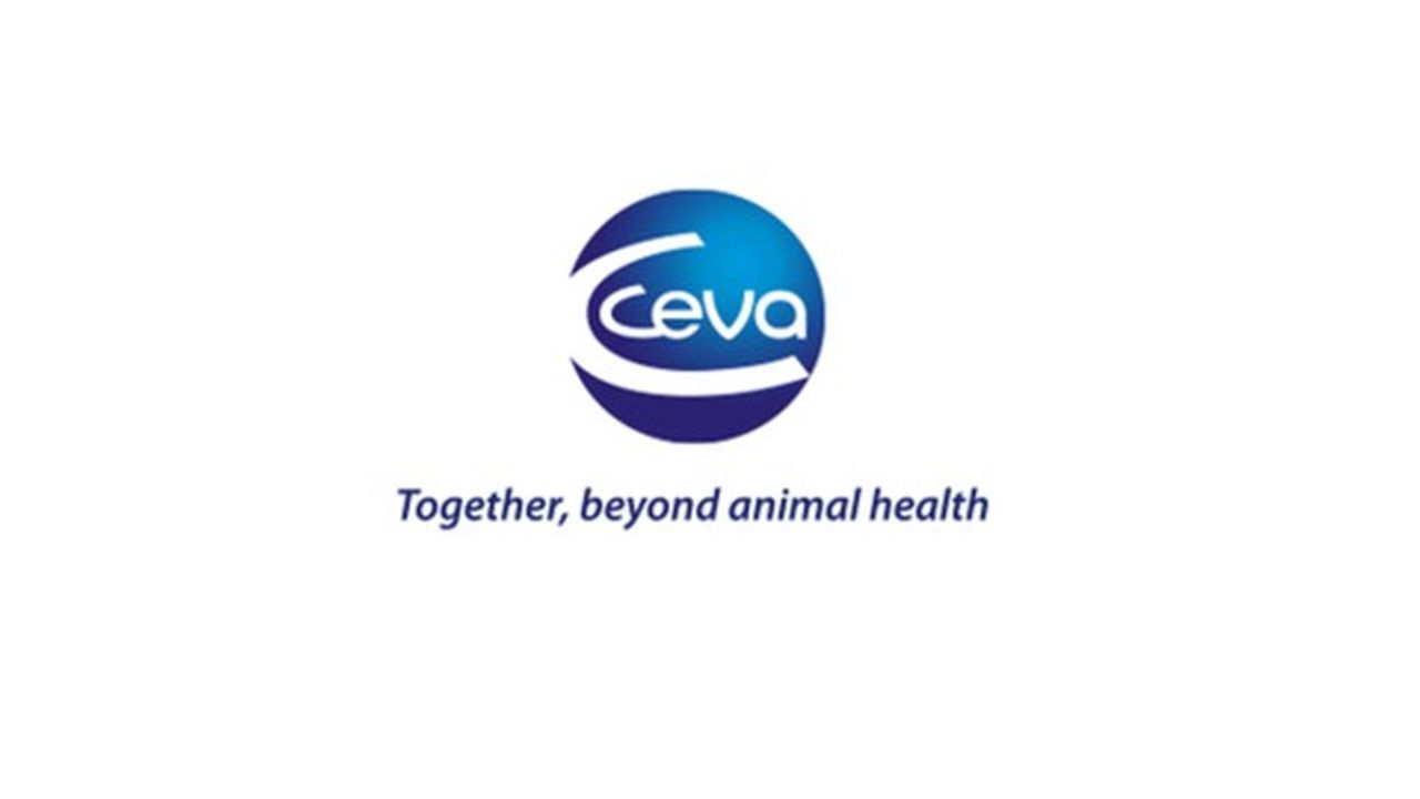 Les activités de Ceva couvrent aussi bien les médicaments et vaccins pour animaux d'élevage que pour animaux de compagnie.