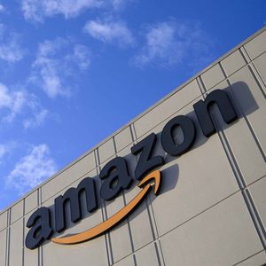 En contrepartie de ses avantages, Amazon s'est notamment engagé à laisser aux pays d'Amazonie la jouissance de plusieurs noms de domaine dérivés, « à des fins non commerciales ».