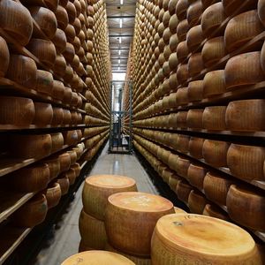 Nuova Castelli est le plus important exportateur de Parmigiano Reggiano.