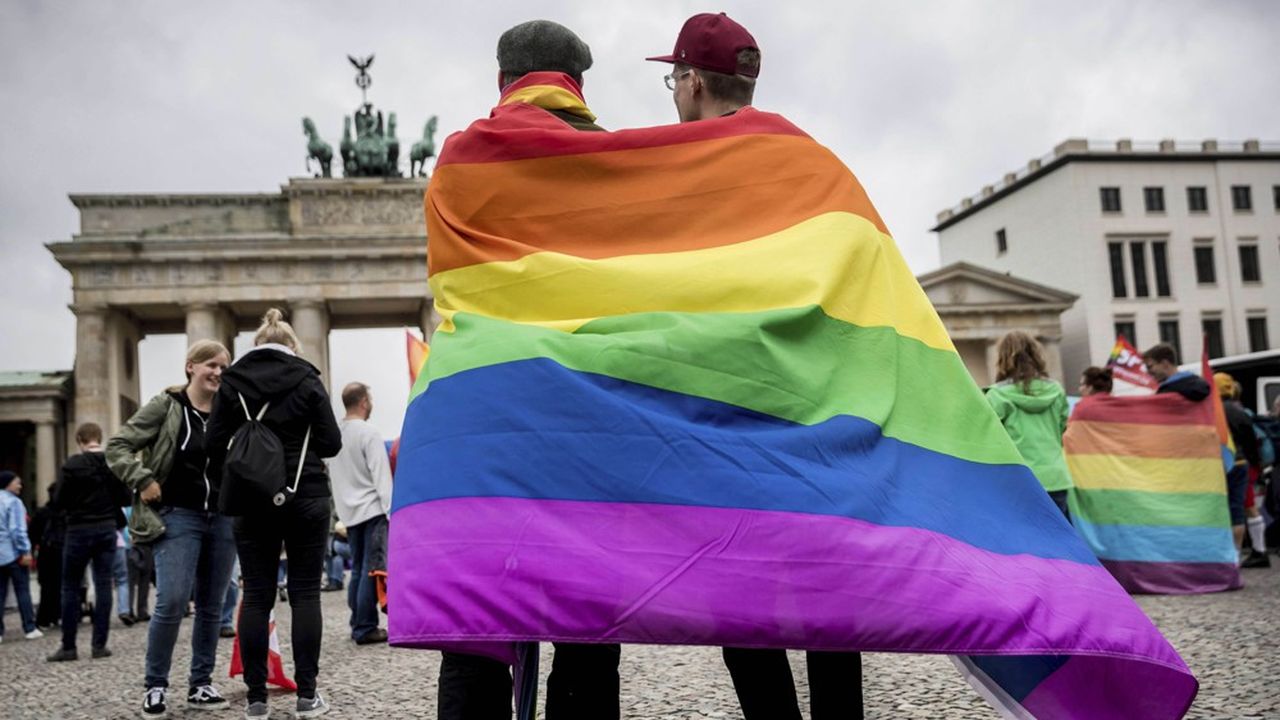 En Allemagne, il apparaît aujourd'hui « médicalement nécessaire et constitutionnellement possible » d'interdire les thérapies censées aider les homosexuels à changer d'orientation sexuelle