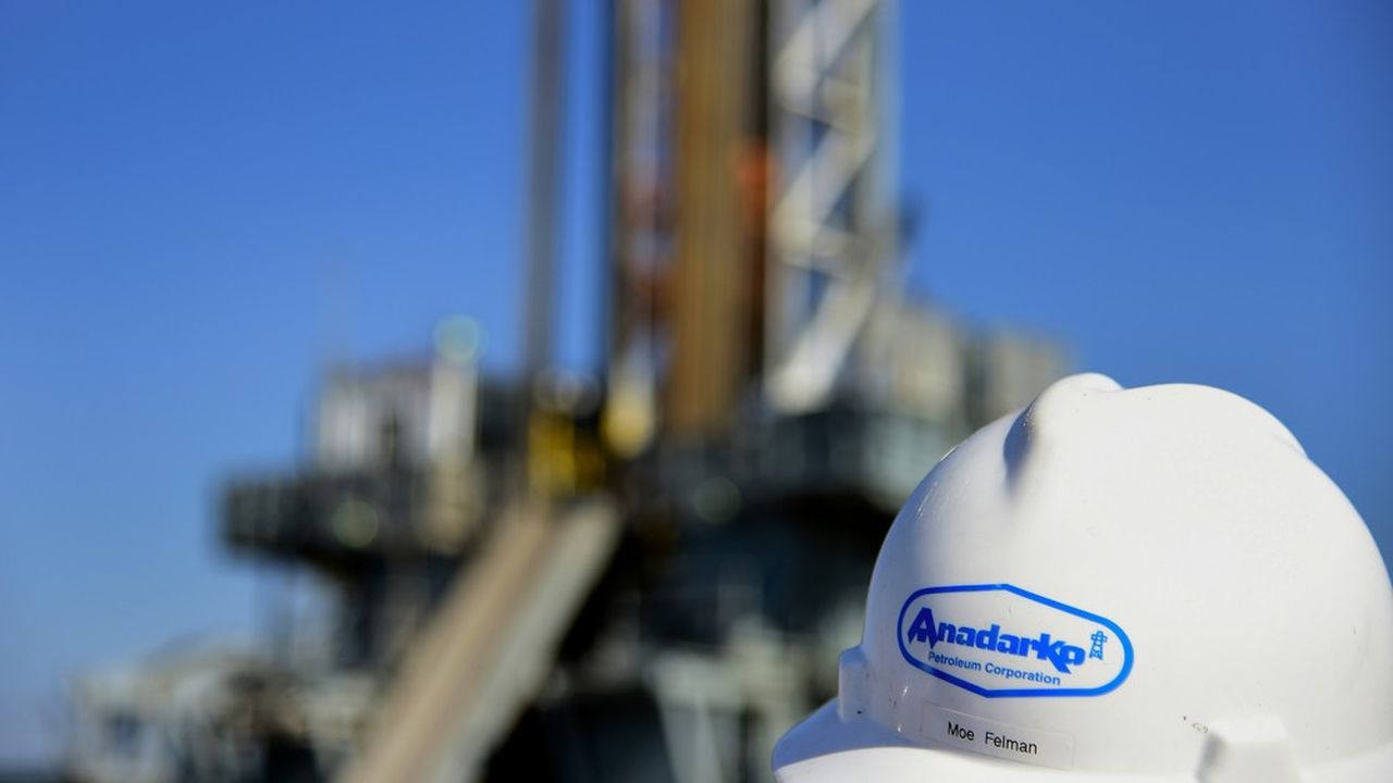 Le projet Mozambique LNG est lancé par la compagnie américaine Anadarko mais c'est le français Total qui doit devenir son principal actionnaire l'an prochain.