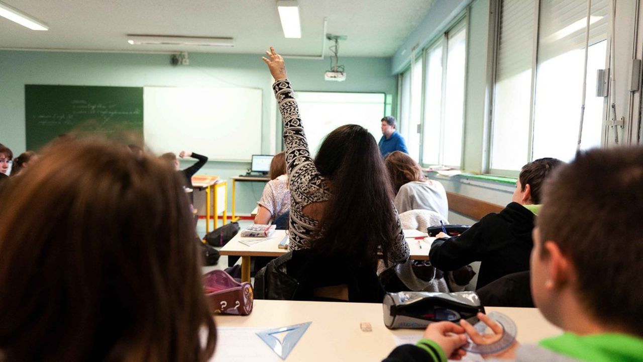 Selon l'OCDE, les enseignants français pâtissent d'un manque de formation continue comparé à leurs collègues d'autres pays : moins formés notamment dans la gestion de classe et les comportements perturbateurs des élèves, ils sont aussi plus nombreux à signaler des problèmes de discipline.