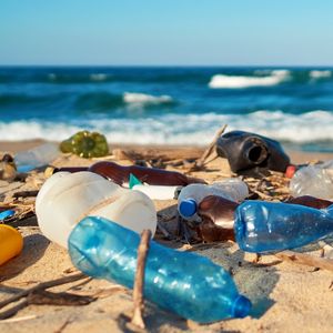 Seul environ 1 % des bouteilles plastiques échappe à la collecte, soulignent les recycleurs opposés à la consigne. Pour eux, le problème c'est le recyclage, car les poubelles de l'espace public et du « hors foyer » (estimé à 30 % des déchets ménagers, dans les gares, stades etc.), ne sont pas triées.