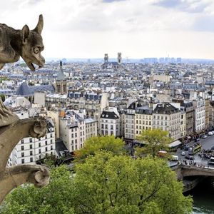 Lorsque le marché immobilier monte, Paris monte plus vite, et quand il baisse, les prix baissent plus lentement dans la capitale.