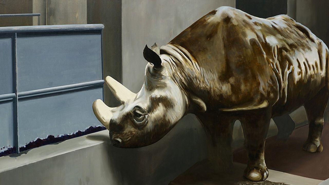 Rhinocéros by Gilles Aillaud