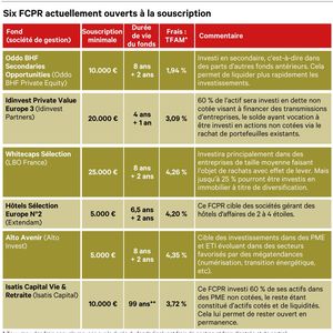 Les 10 Placements Les Plus Rentables Les Echos