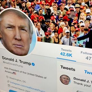 Les accès d'humeur du président américain ont largement contribué à la popularité de Twitter.