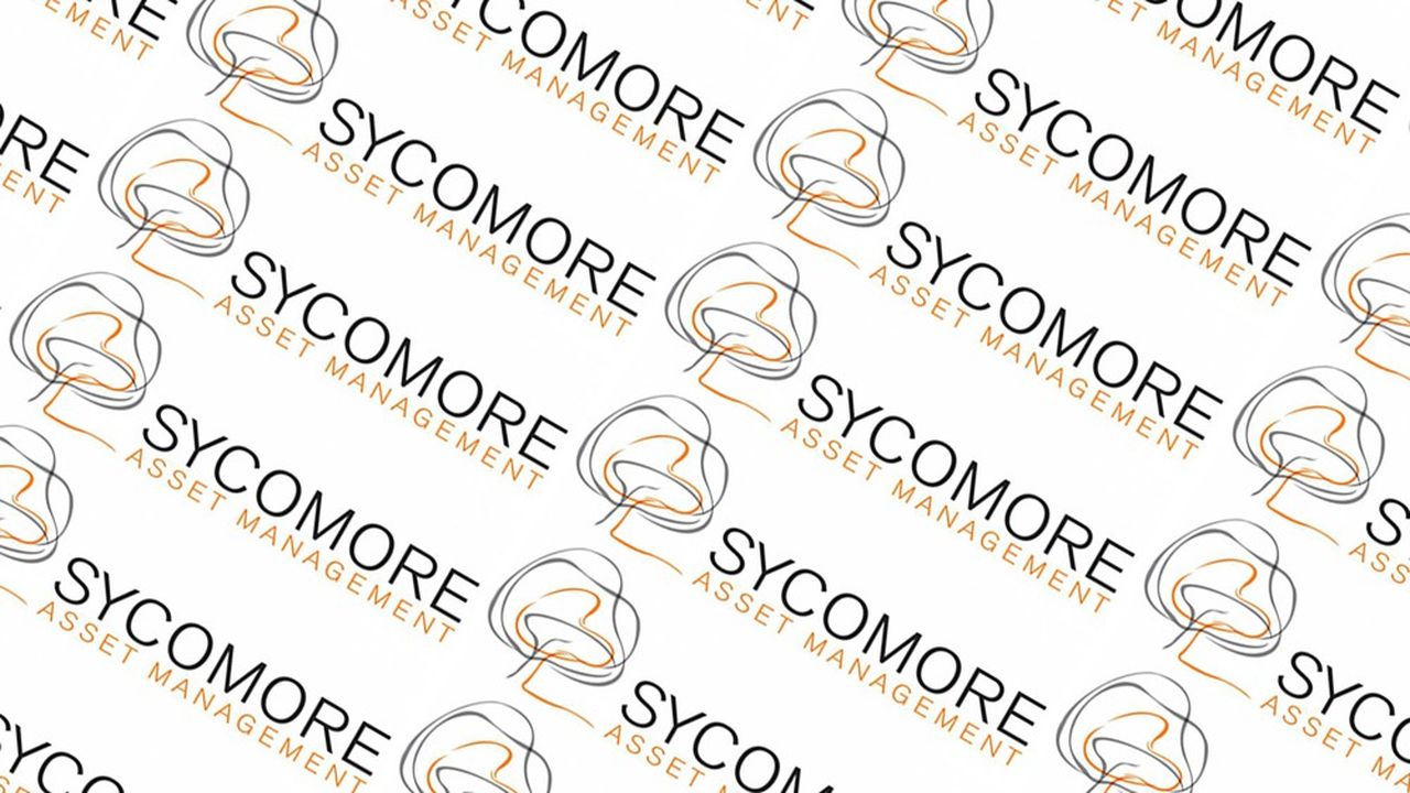 Sycomore, spécialiste de l'investissement responsable, développe depuis 2015 la « Contribution Environnementale Nette ».