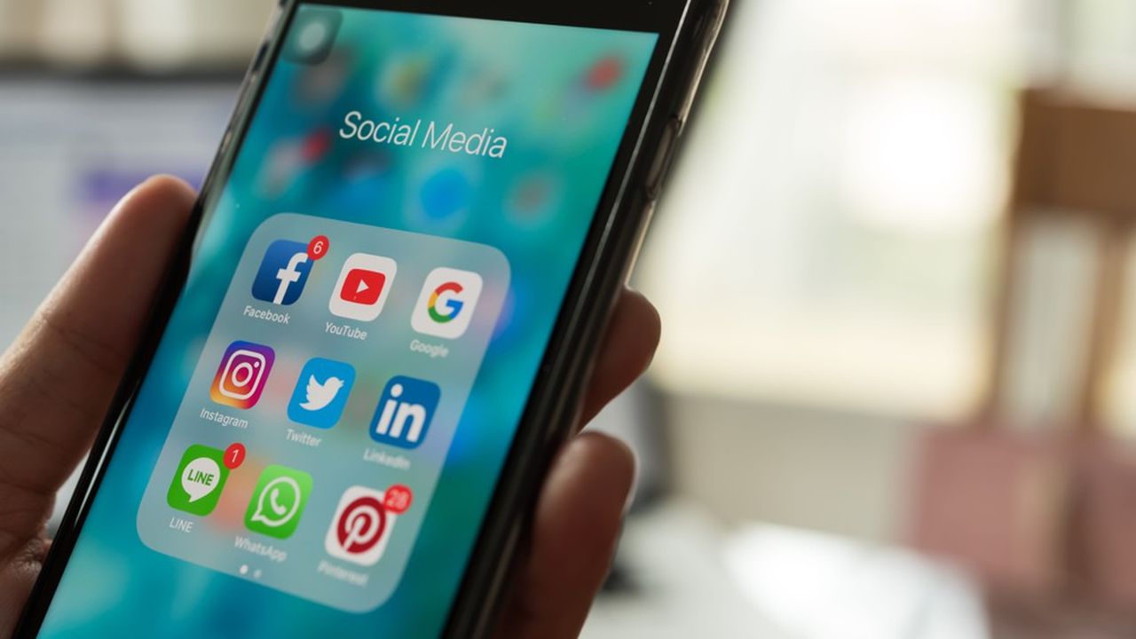 La proposition de loi de la députée LREM, Laetitia Avia, prévoit de combattre les contenus haineux sur les plates-formes comme Facebook, Twitter ou YouTube.
