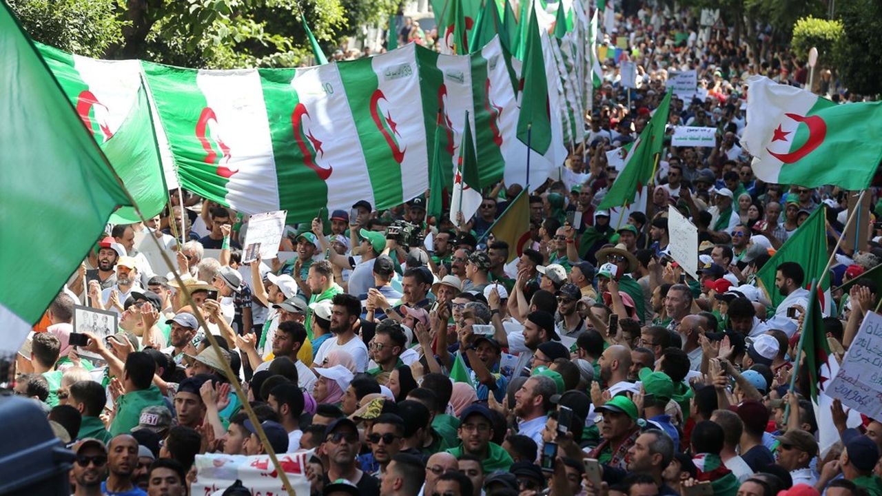 Des manifestants algériens brandissant des drapeaux au croissant rouge le 28 juin dernier.