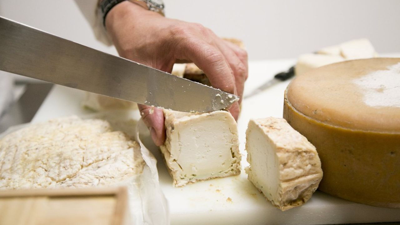 Les goûts des fromages au lait cru, des bleus ou des pâtes affinées à 36 mois, qui ravissent les palais français, sont en revanche de nature à surprendre les palais non avertis.