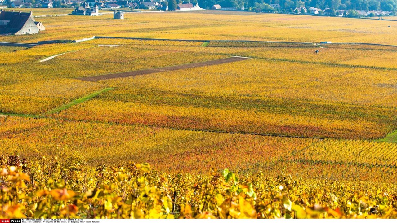 Chardonnay est un petit village situé au coeur de la Bourgogne.