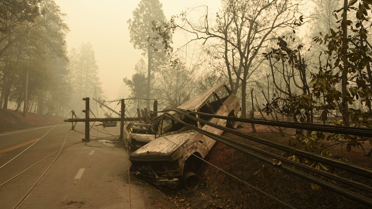 Le Camp Fire, le feu le plus meurtrier de l'histoire de la Californie, a provoqué la mort de 85 personnes et la destruction de près de 19.000 bâtiments en novembre dernier dans le nord de l'Etat.