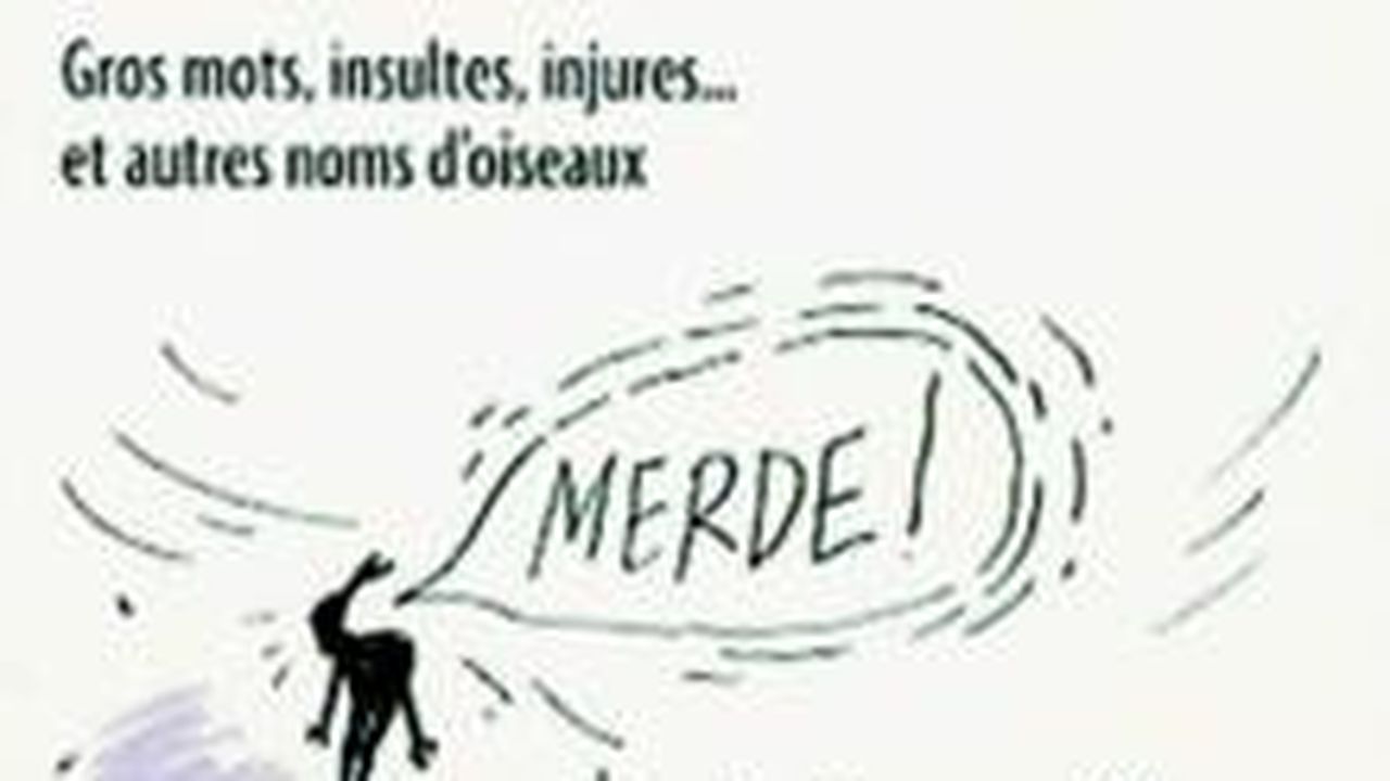 Un gougnafier maboul | Les Echos