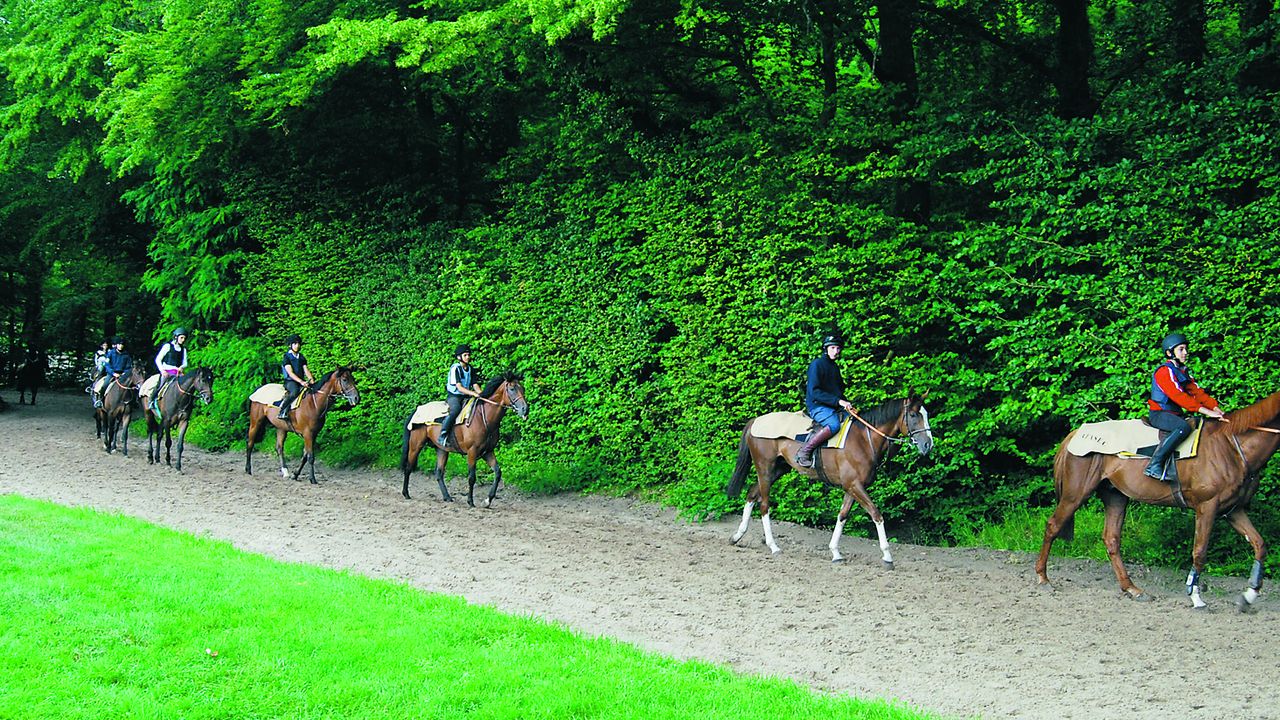 cravache tête de cheval marine