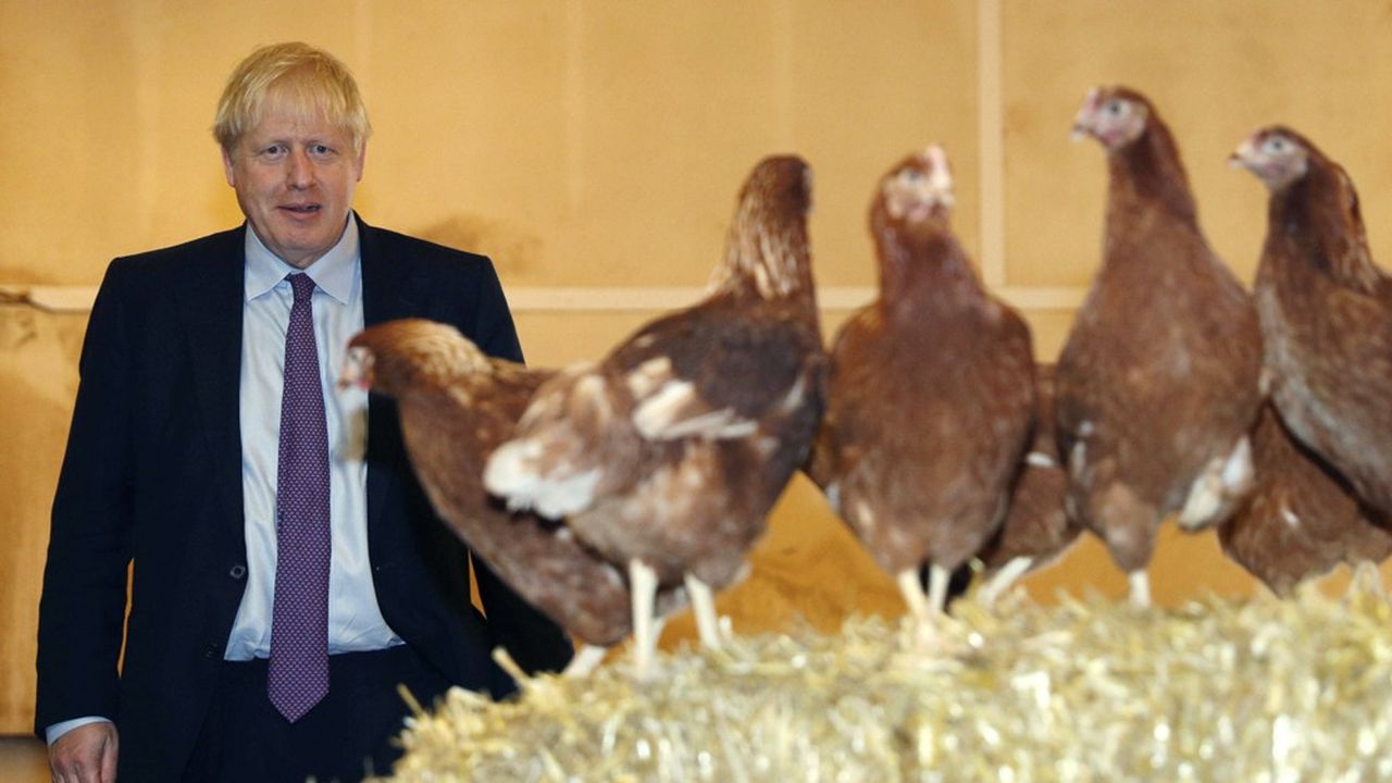 Le premier ministre britannique, Boris Johnson s'est rendu mardi au Pays de Galles pour vanter auprès de la population son plan en faveur des agriculteurs, ici à Shervington Farm à St Brides Wentlooge près de Newport. Il a également soutenu Chris Davies, le candidat du parti conservateur.