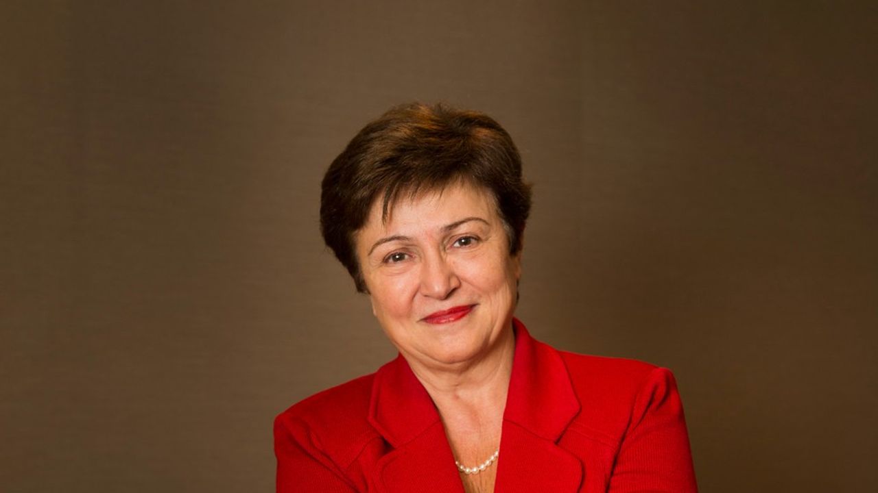 L'ancienne commissaire européenne au Budget et aux Ressources humaines a mené une grande partie de sa carrière au sein de la Banque mondiale, sur les questions de développement.