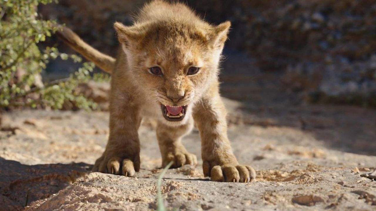 Disney fait un carton au box-office avec sa nouvelle version 3D du 'Roi Lion'