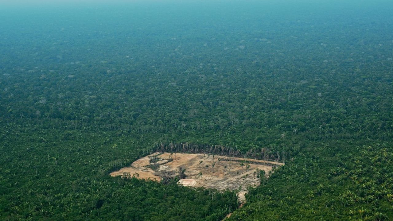 La controverse autour des chiffres de destruction de la forêt amazonienne a provoqué la révocation du patron de l'Institut national de la recherche spatiale, Ricardo Galvao, qui assurait que la déforestation avait augmenté de 88 % en un an.