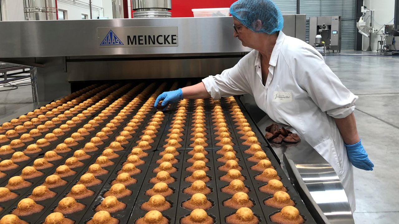 Les madeleines Jeannette ont réalisé un chiffre d'affaires de 2,8 millions d'euros en 2018.