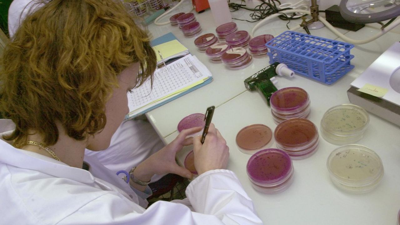 Une jeune biologiste cherche des traces d'escherichia coli, bactérie qui provoque la 'tourista', le 10 mai 2000 à Saint-Lo, au laboratoire d'analyse départementale de la Manche. (Photo by MYCHELE DANIAU/AFP)