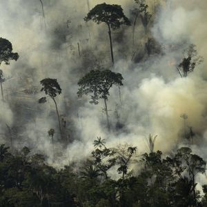 Pour aider à lutter contre les feux en Amazonie et préserver les forêts tropicales, 500 millions de dollars vont être mobilisés par des bailleurs de fonds internationaux.