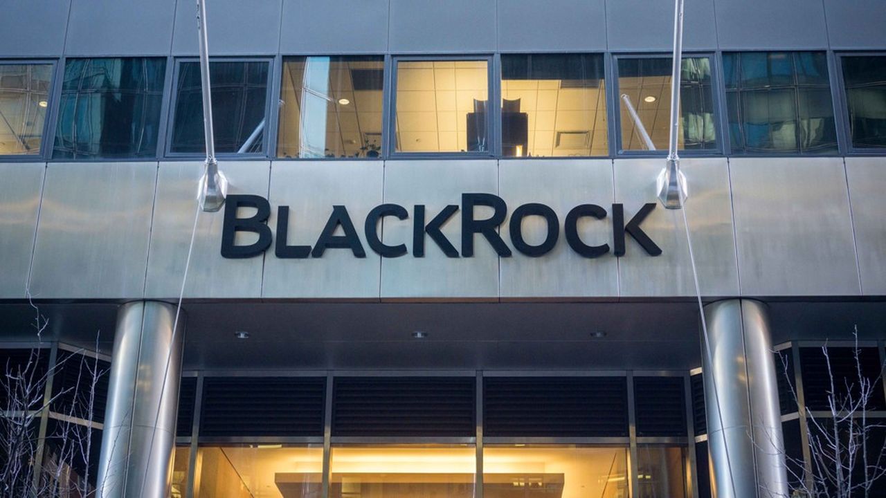 BlackRock gère environ 30 milliards d'euros pour le compte de clients français.