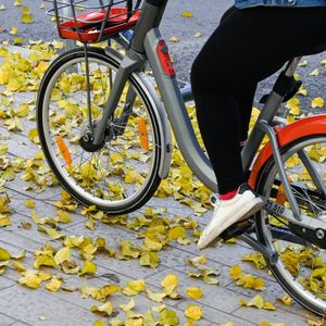 Location de bicyclettes en libre service Velov à Lyon 