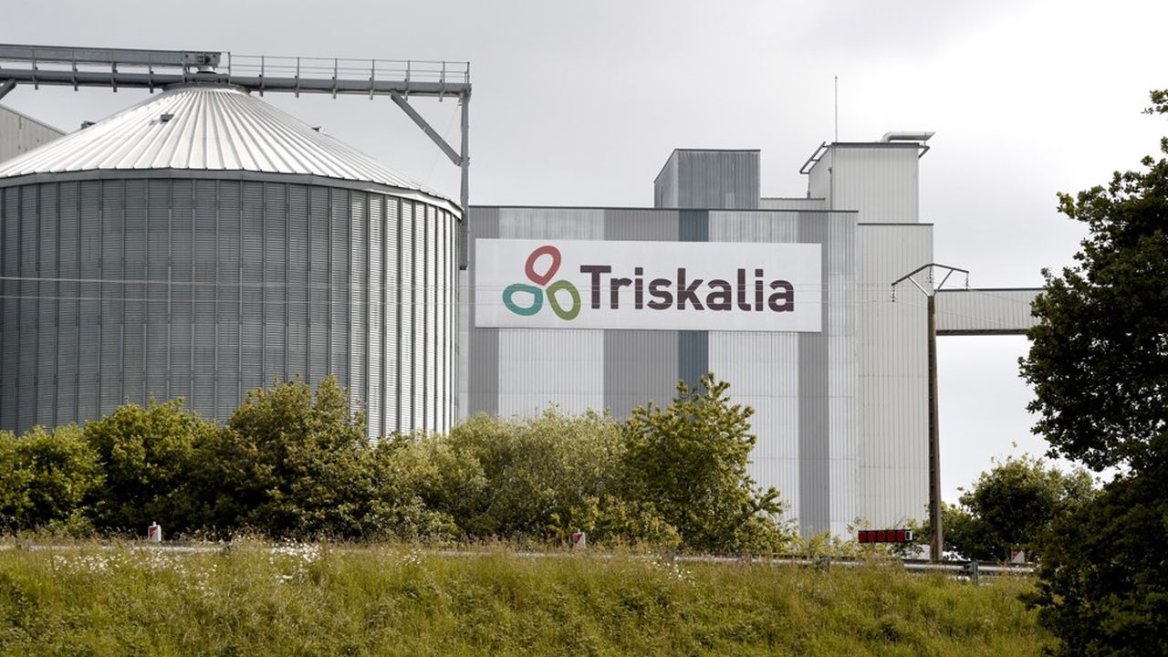 Triskalia et Even, une autre coopérative agricole, ont lancé un appel à projets.
