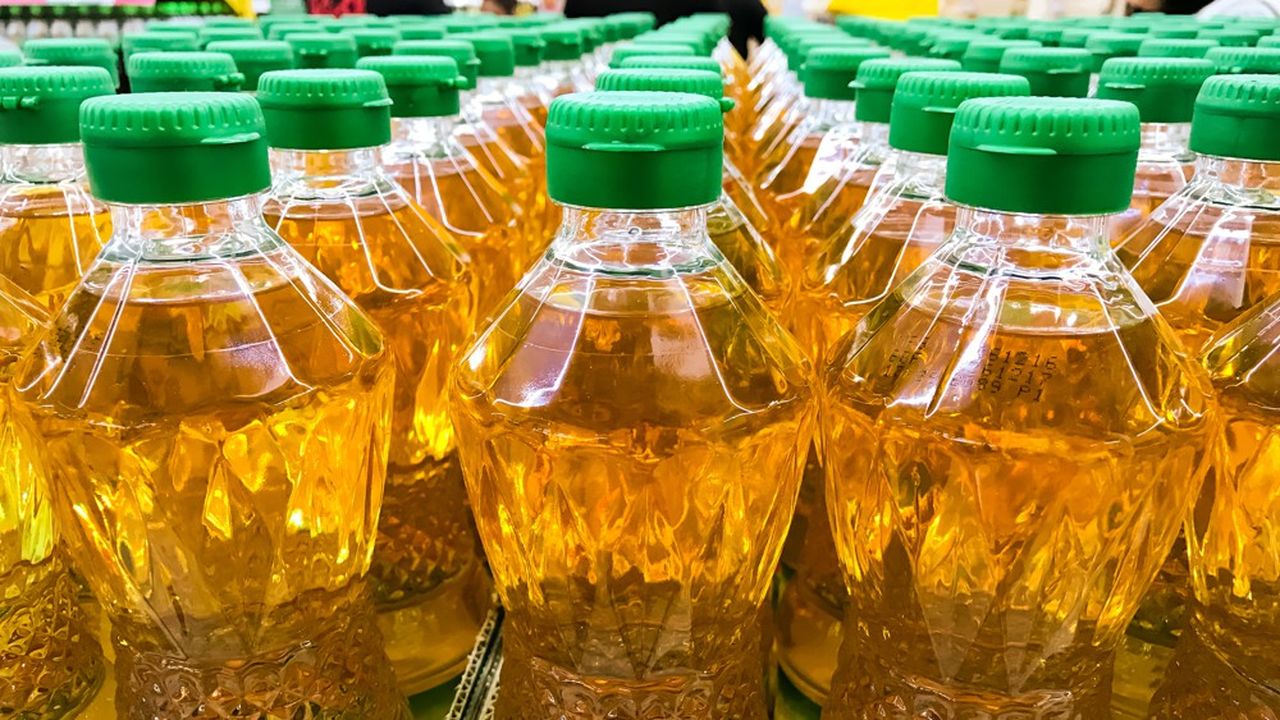 Avec plus de 76 millions de tonnes produites cette année - contre moins de 5 millions en 1980 -, l'huile de palme est, de loin, l'huile végétale la plus consommée sur Terre.