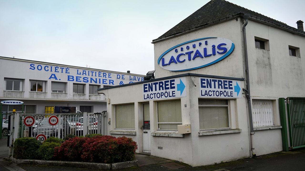 Bio Le Geant Du Lait Lactalis Vise Le Premier Rang Mondial Les