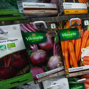 Bayer a dû céder 100 % de ses semences à son compatriote BASF pour pouvoir faire l'acquisition de Monsanto, ce qui a aidé le français Vilmorin à prendre le leadership mondial des semences potagères sur un marché de 6 milliards de dollars.