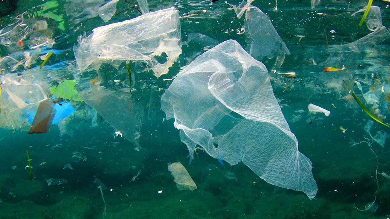 Beaucoup de ces produits, par exemple les sacs et les bouteilles d'eau en plastique, comportent des produits chimiques dangereux absorbés par les poissons.