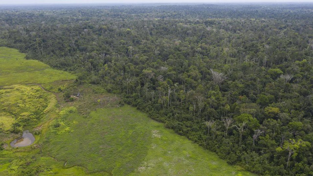 La déforestation en Amazonie avait diminué, jusqu'à l'élection de Jair Bolsonaro.