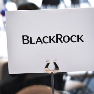 BlackRock, le plus grand gérant au monde avec plus 6.800 milliards de dollars d'encours, n'a soutenu que 6,7 % des propositions d'actionnaires en faveur du climat étudiées par l'ONG ShareAction.