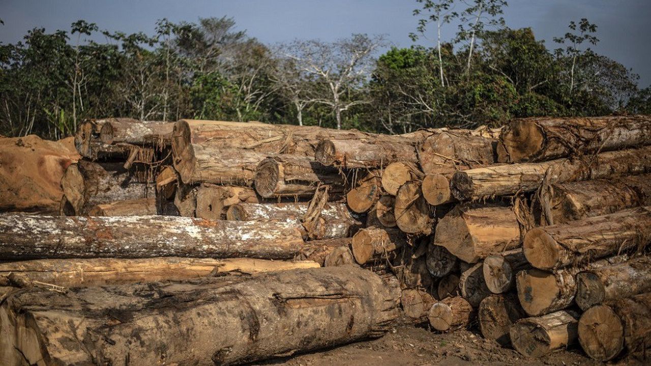 La déforestation s'est accélérée depuis l'arrivée au pouvoir de Jaïr Bolsonaro au Brésil.