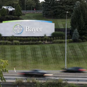 Conformément à l'accord de « plaider coupable », Monsanto, filiale de Bayer, doit payer une amende criminelle de 6 millions de dollars et verser 4 millions aux autorités d'Hawaï.
