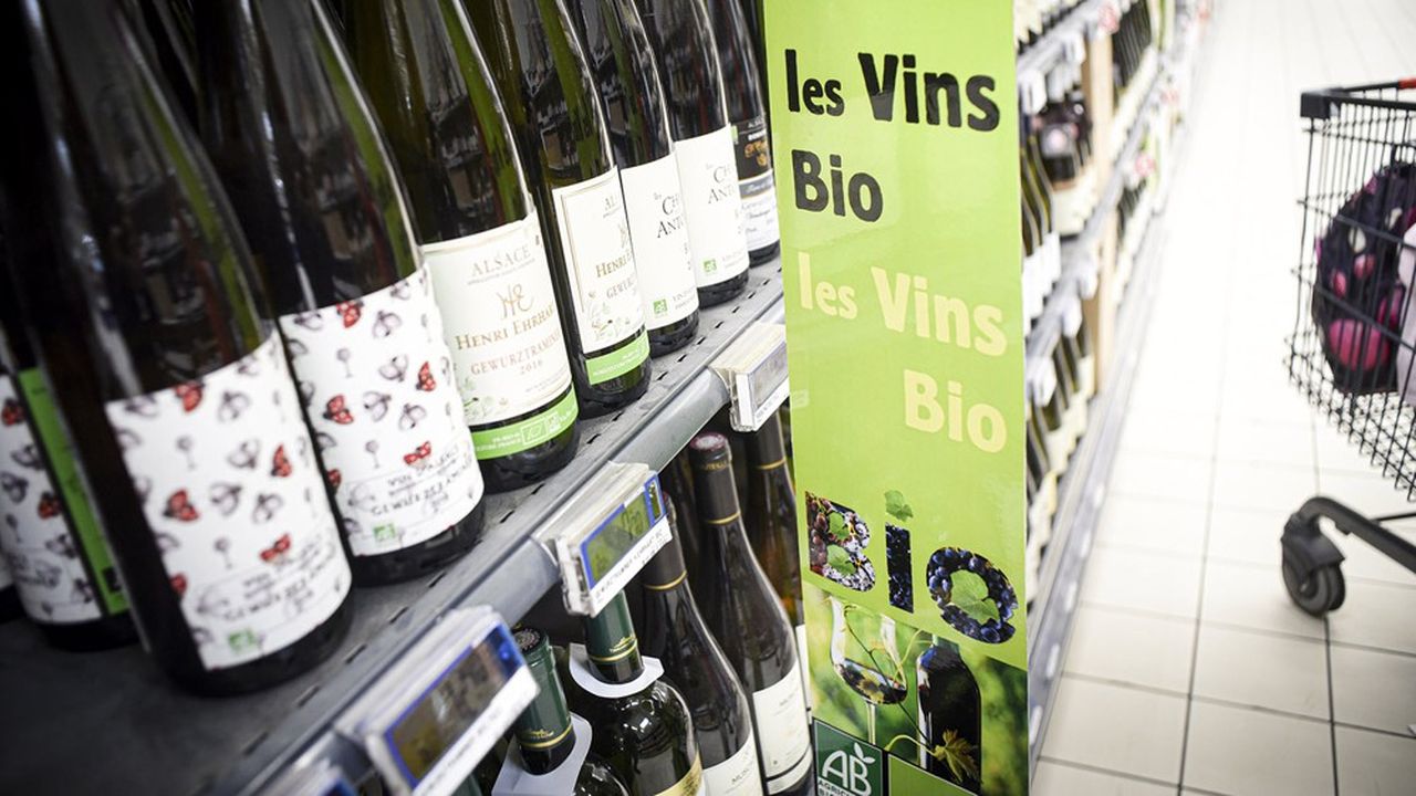 La France devrait devenir le premier consommateur mondial de vins bio en 2021, détrônant l'Allemagne, indique l'institut britannique IWSR