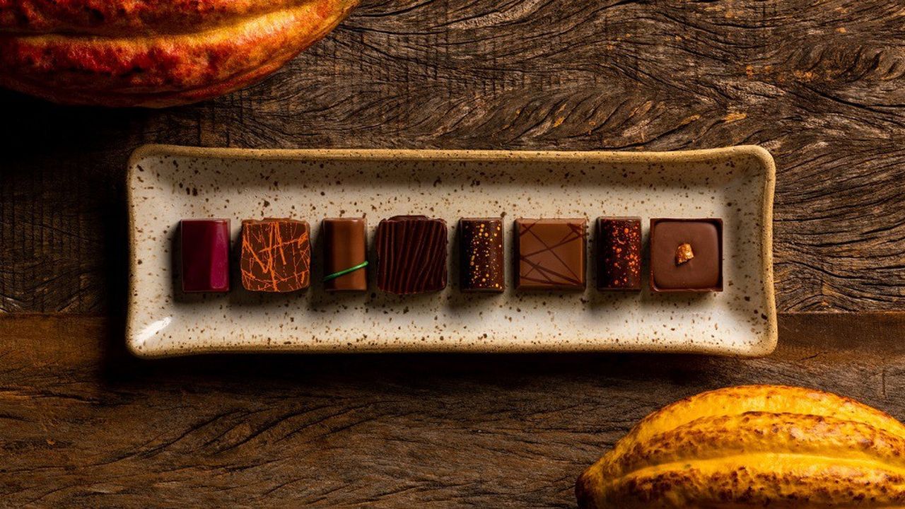 Le chocolatier brésilien Dengo s'est engagé dans la création d'une filière d'approvisionnement durable en cacao.