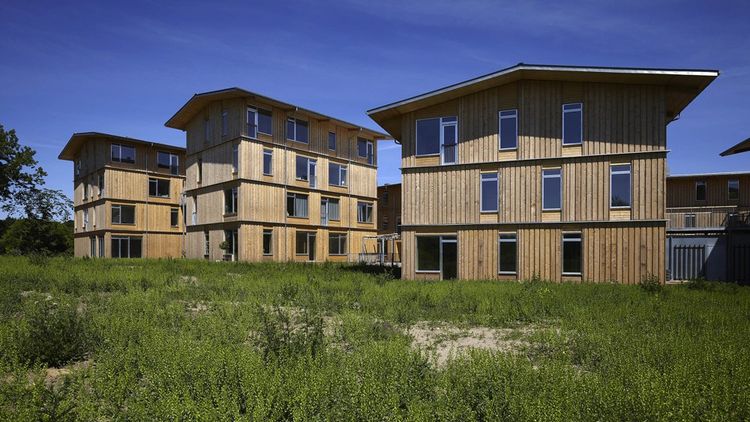 MOE a assuré l'ingénierie de bâtiments en bois à Lisbjerg Bakke à Aarhus, au Danemark.