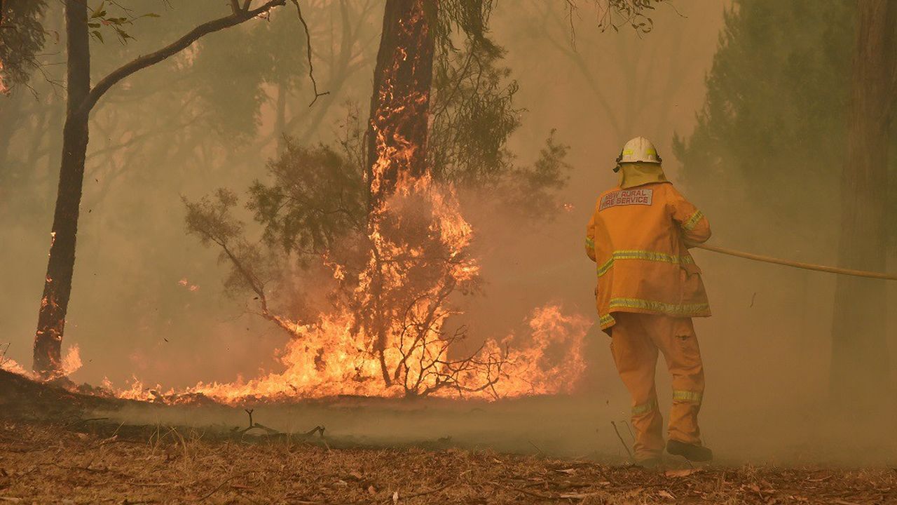 Plus de 2.000 pompiers luttent contre les flammes dans l'Etat de Nouvelle-Galles du Sud.