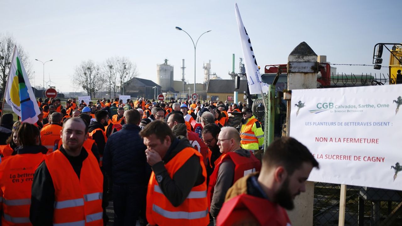 Manifestation devant la sucrerie Saint Louis de Cagny, en Normandie.