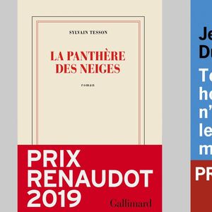 Avec 228.169 exemplaires vendus, le Goncourt attribué à Jean-Paul Dubois, comme le Renaudot décerné à Sylvain Tesson (227.140 ex.) ont témoigné encore de la force de prescription des Prix.
